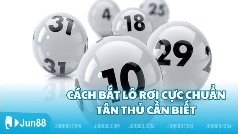 Chi tiết cách bắt lô rơi cực chuẩn tân thủ cần biết