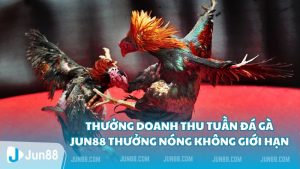 Thuong doanh thu tuan da ga Jun88 thuong nong khong gioi han