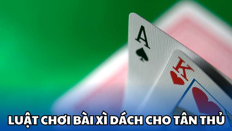 Luật chơi bài xì dách cho tân thủ