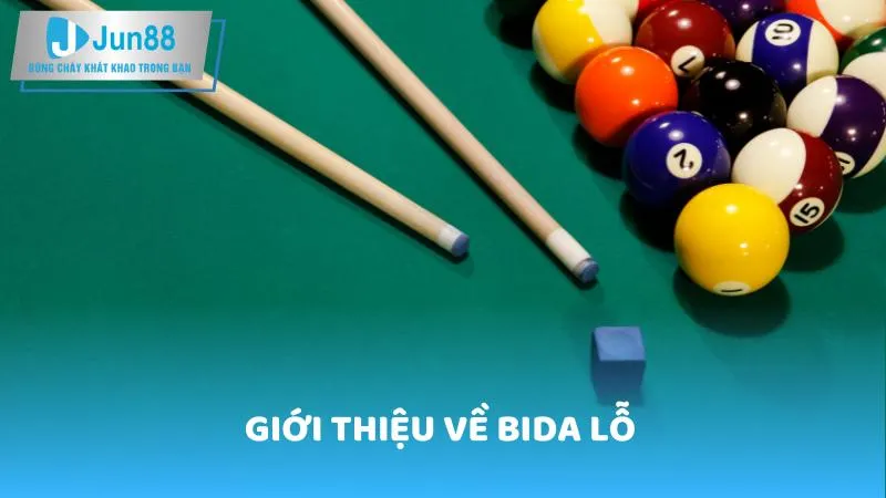 Giới thiệu về Bida Lỗ