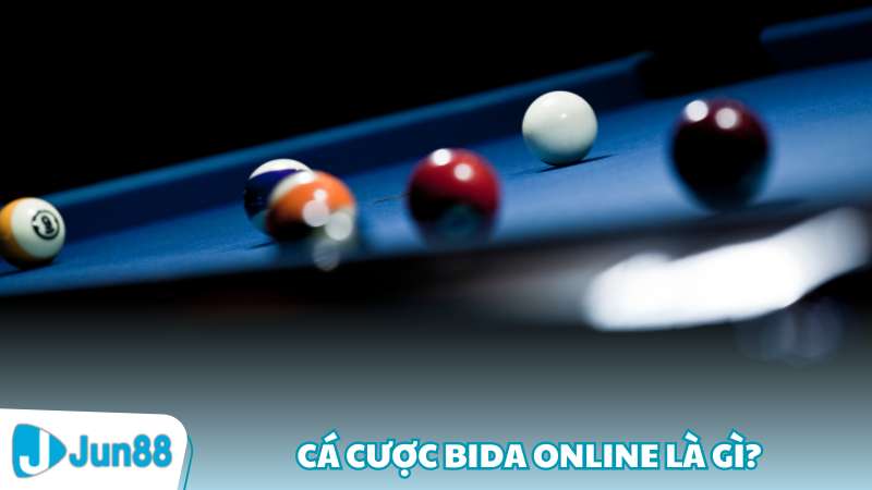 Cá cược bida online là gì?